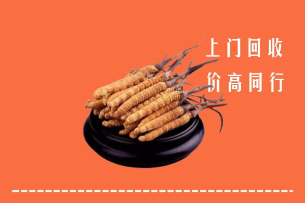 高价求购：乌鲁木齐市回收散虫草