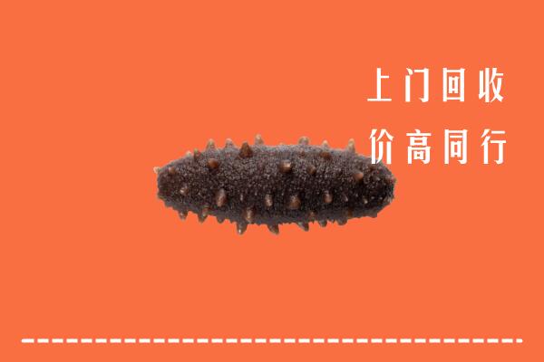 高价求购：乌鲁木齐市回收海参
