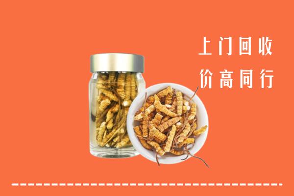 乌鲁木齐市回收冬虫夏草